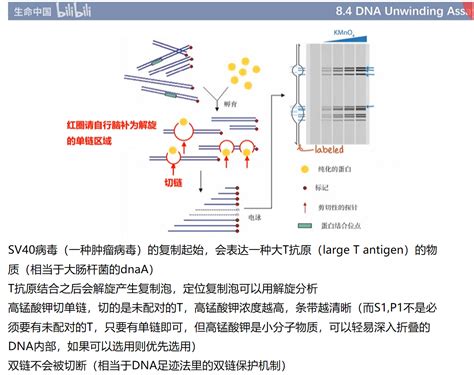 天醫加延年|【延年天醫】延年天醫：數字能量學與易經數字DNA解。